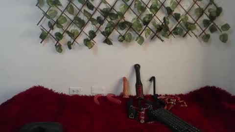 Snapshot of vaiolet_miss chatting on November 2025 01:54:02 PM vaiolet online show from November 2025 01:54:02 PM