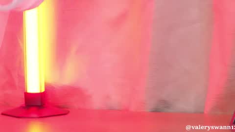 Snapshot of valery_swan1 chatting on September 2025 03:43:01 AM Valery swan1 online show from September 2025 03:43:01 AM