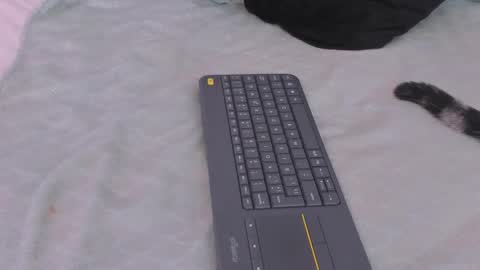 Snapshot of valerysanchez_ chatting on February 2025 10:54:01 PM Valery online show from February 2025 10:54:01 PM