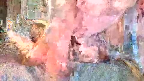 vanillasnackpack007 online show from February 2026 05:40:02 PM