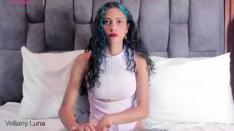 Snapshot of vellanyluna chatting on August 2026 12:54:02 PM vellanyluna online show from August 2026 12:54:02 PM