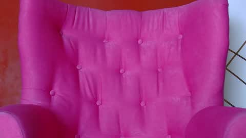 badgaleli online show from March 2026 08:19:01 AM