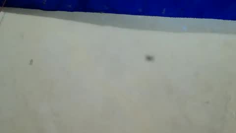 velvet online show from December 2024 08:25:02 AM