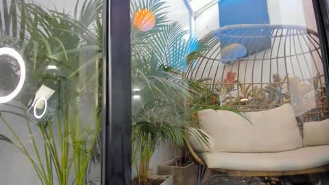 Snapshot of venus_flame chatting on November 2025 11:43:02 AM VENUS online show from November 2025 11:43:02 AM