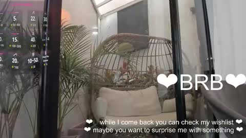 VENUS online show from January 2026 11:36:01 AM