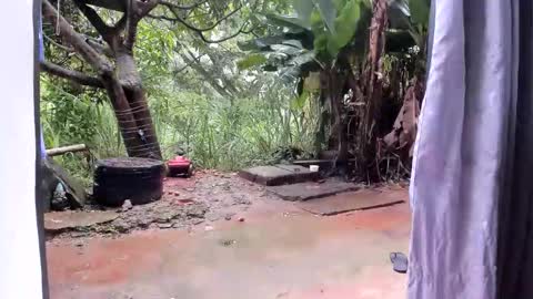 venus ... zeus sheer  online show from January 2026 12:43:02 PM