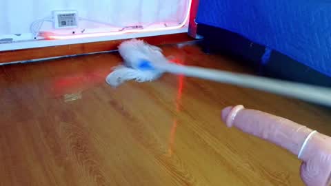 Snapshot of verhona_vlad chatting on February 2025 03:08:02 PM verhona_vlad online show from February 2025 03:08:02 PM