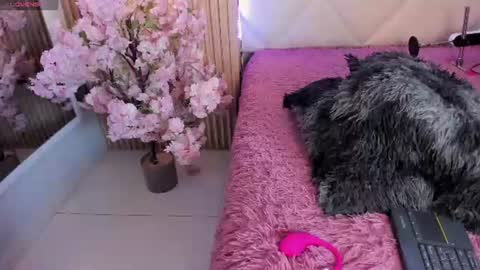 veronica_hill_ online show from June 2026 03:07:02 AM