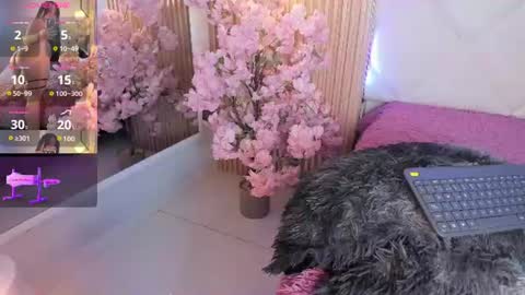 veronica_hill_ online show from June 2026 03:18:01 AM