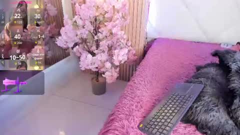 veronica_hill_ online show from June 2026 03:05:01 AM