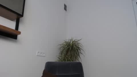 veronik_shy online show from February 2026 08:42:01 AM