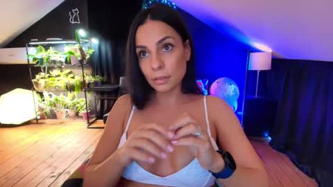 vevelicious online show from November 2025 08:42:02 PM