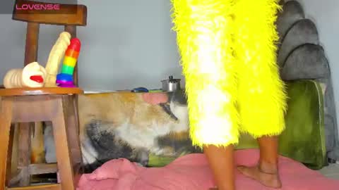 vicky manuela online show from June 2026 04:34:02 AM