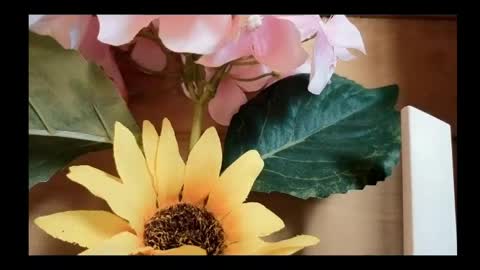 vickyvalencia2 online show from May 2026 02:02:01 PM