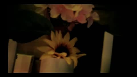 vickyvalencia2 online show from May 2026 02:30:01 AM