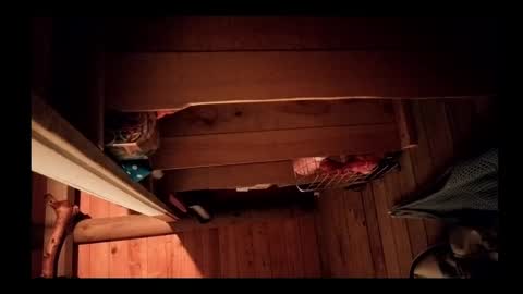 vickyvalencia2 online show from May 2026 05:16:02 AM