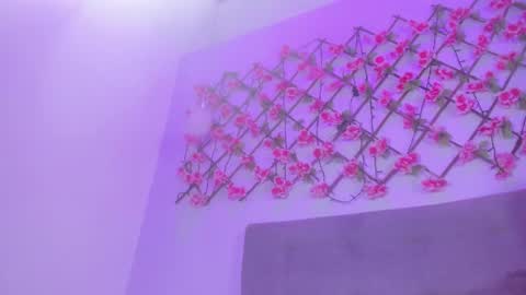 Snapshot of victoria_cooper3 chatting on January 2025 04:24:01 PM valentina online show from January 2025 04:24:01 PM