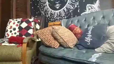 victoryyisours online show from October 2025 08:05:02 AM