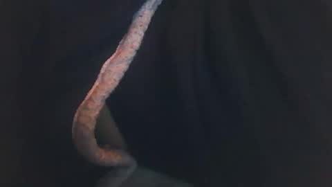 vicvictoree online show from December 2025 02:06:02 AM