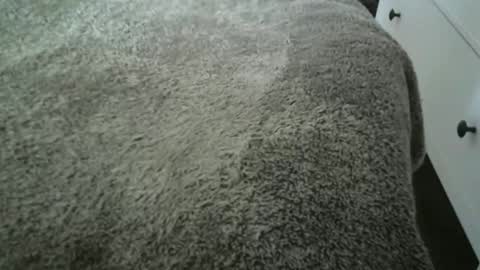 Vidalter online show from November 2025 08:25:02 AM