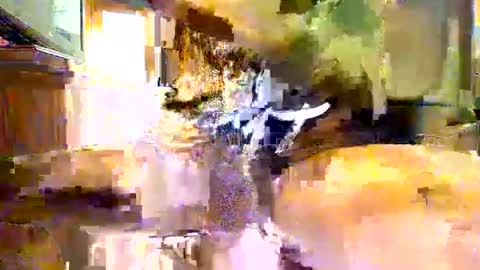 viizin online show from February 2025 06:28:01 AM