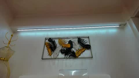 Snapshot of vikafever chatting on November 2025 04:11:02 AM vikafever online show from November 2025 04:11:02 AM