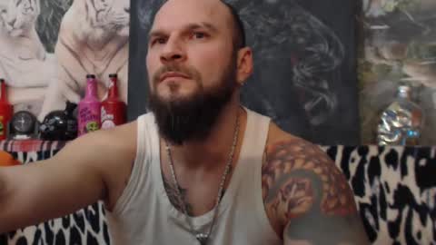 Snapshot of viking_me chatting on December 2024 08:49:01 PM viking online show from December 2024 08:49:01 PM