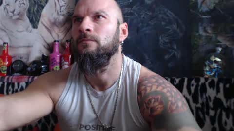 Snapshot of viking_me chatting on December 2024 10:04:02 AM viking online show from December 2024 10:04:02 AM