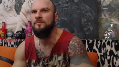 Snapshot of viking_me chatting on January 2025 08:04:02 PM viking online show from January 2025 08:04:02 PM