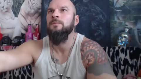 Snapshot of viking_me chatting on January 2025 10:38:02 AM viking online show from January 2025 10:38:02 AM