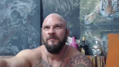 Snapshot of viking_me chatting on September 2025 06:41:02 PM viking online show from September 2025 06:41:02 PM