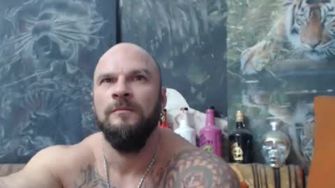 Snapshot of viking_me chatting on October 2025 07:04:02 PM viking online show from October 2025 07:04:02 PM