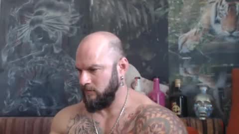 Snapshot of viking_me chatting on October 2025 07:19:02 AM viking online show from October 2025 07:19:02 AM