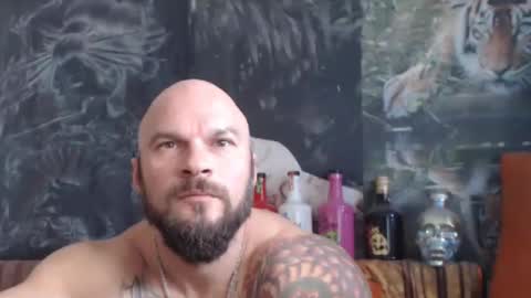 Snapshot of viking_me chatting on October 2025 07:38:02 AM viking online show from October 2025 07:38:02 AM