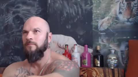 Snapshot of viking_me chatting on November 2025 08:02:02 AM viking online show from November 2025 08:02:02 AM