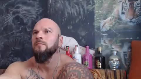 Snapshot of viking_me chatting on November 2025 08:14:01 AM viking online show from November 2025 08:14:01 AM