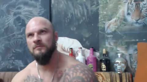 Snapshot of viking_me chatting on November 2025 08:20:02 PM viking online show from November 2025 08:20:02 PM