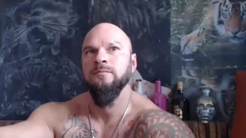 Snapshot of viking_me chatting on November 2025 10:26:01 AM viking online show from November 2025 10:26:01 AM