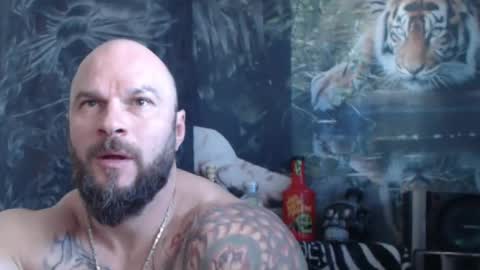 viking online show from April 2026 06:58:02 AM