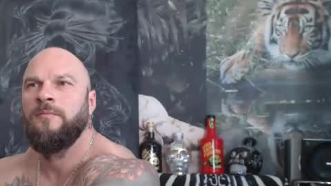 viking online show from April 2026 10:50:01 AM