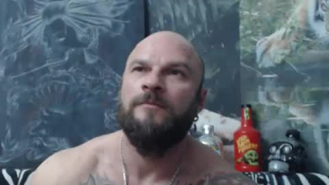 viking online show from May 2026 06:14:02 PM