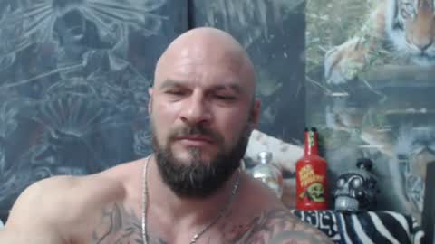 viking online show from June 2026 06:06:02 PM