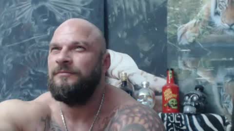 viking online show from June 2026 06:40:01 PM