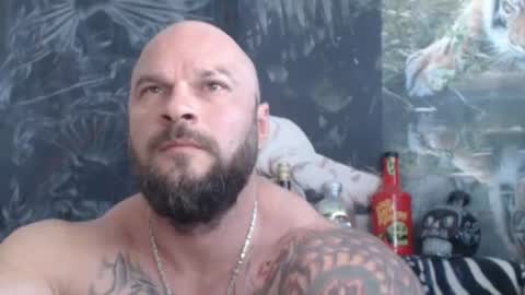 viking online show from June 2026 07:39:01 AM