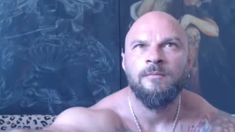 viking online show from June 2026 06:41:01 AM