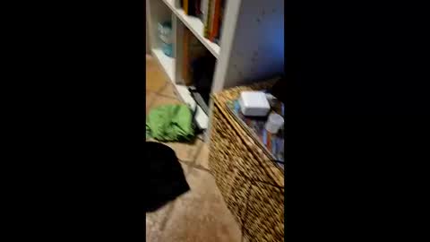 Vinz online show from March 2026 02:17:01 AM