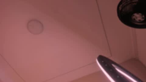 Violeta  online show from October 2025 10:59:02 AM