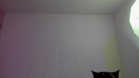     online show from May 2026 09:22:01 PM