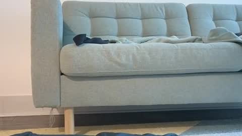 Pachinko De Gallo online show from March 2026 06:46:02 PM