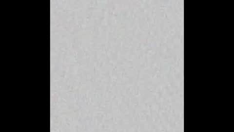 Vivian online show from October 2025 11:19:01 AM